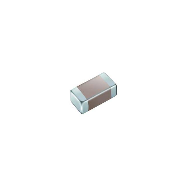 MSAYE219SSD333KTNA01